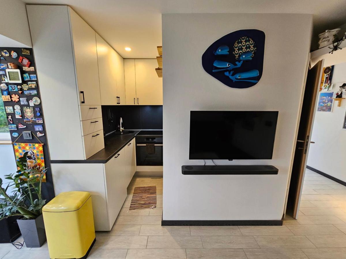 Apartman Carnevalus Рієка Екстер'єр фото