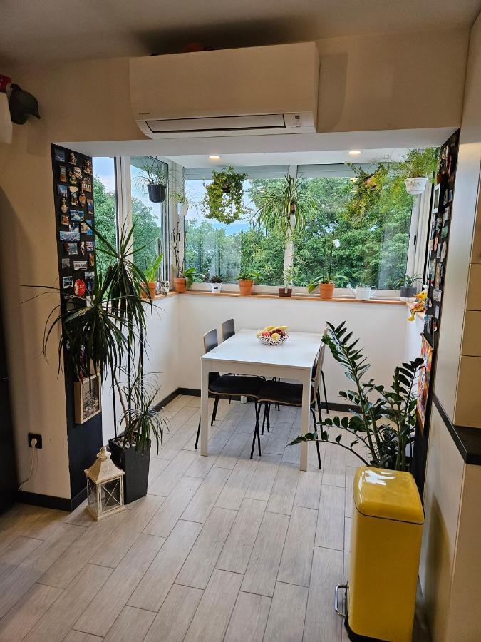 Apartman Carnevalus Рієка Екстер'єр фото